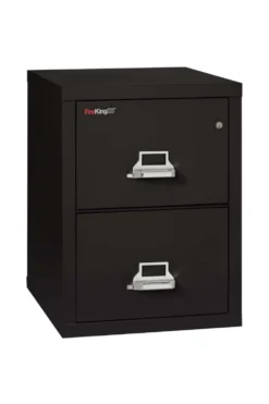 FireKing 2 Drawers Letter 25 - 25-Inch Deep High-Security Vertical File - 2-1825-C -Cramer Sales Store 2 1825 C BL bcf60503 2313 4927 94c2 441165af32e7