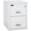 FireKing 2 Drawers Legal 32" Safe In A File - 2-2130-2