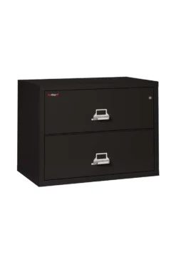 FireKing 2 Drawers Lateral 38" Wide Classic High Security Lateral File Cabinet - 2-3822-C 27 FireKing 2 Drawers Lateral 38" Wide Classic High Security Lateral File Cabinet - 2-3822-C -Cramer Sales Store 2 3822 CBlack