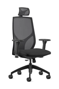 9 To 5 VAULT High Back Ergonomic Executive Chair With Headrest (1480) -Cramer Sales Store OCOPhotosFormat 61 a5a41306 3c3c 4a09 971c 53c3b7a9ccce