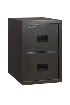 FireKing 2 Drawers Let./Leg. 22" Depth Turtle - Space-Saving Vertical File Cabinet - 2R1822-C