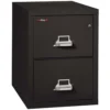 FireKing 2 Drawers Letter 31 1/2" Depth Patriot Series File Cabinets - 2P1831-C